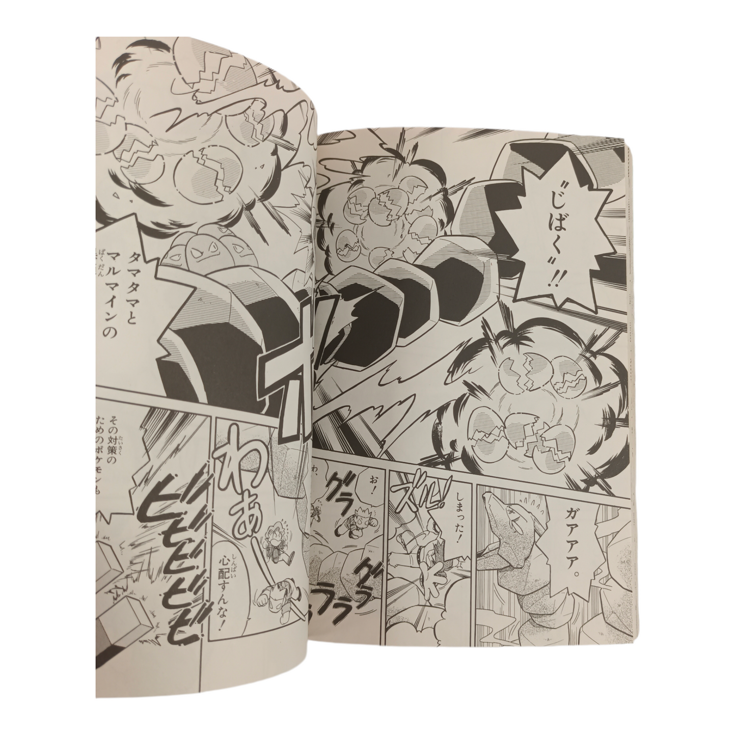 Pocket Monster Special - Tome 6