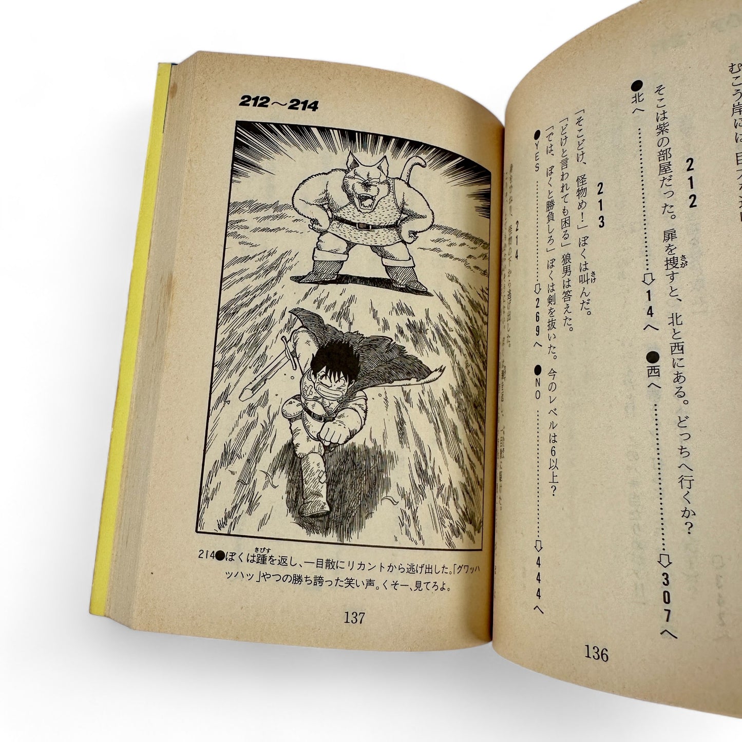 Livre-jeu Dragon Quest - La Légende du Héros Ressuscité