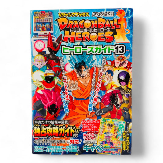 Super-50%  Dragon Ball Heroes : Heroes Guide 13